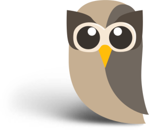 Hootsuite Owl